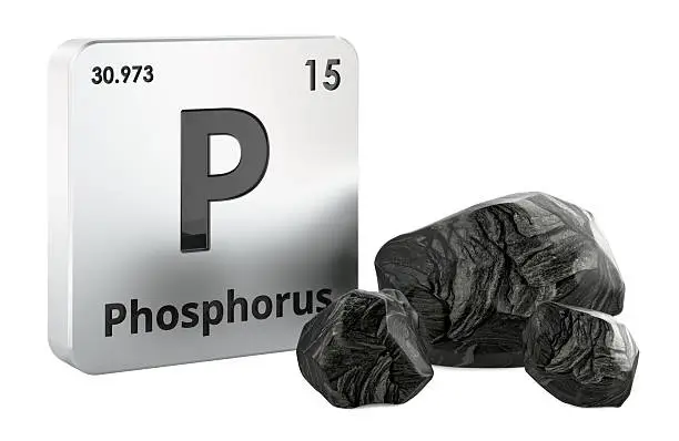 Phosphate Rock to Fertilizer: Understanding the Global Phosphorus Supply Chain