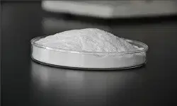 Sodium Carboxyl Methyl Cellulose